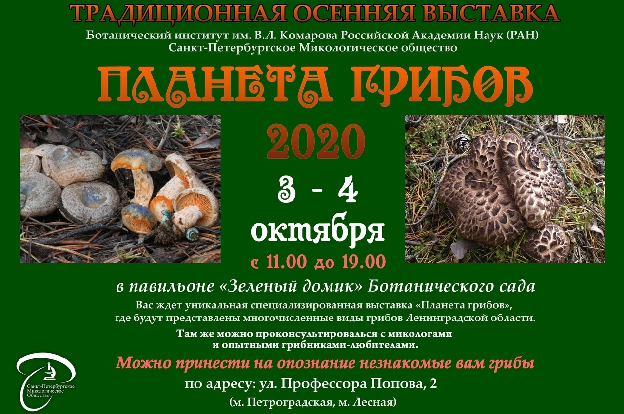 Планета грибов 2020