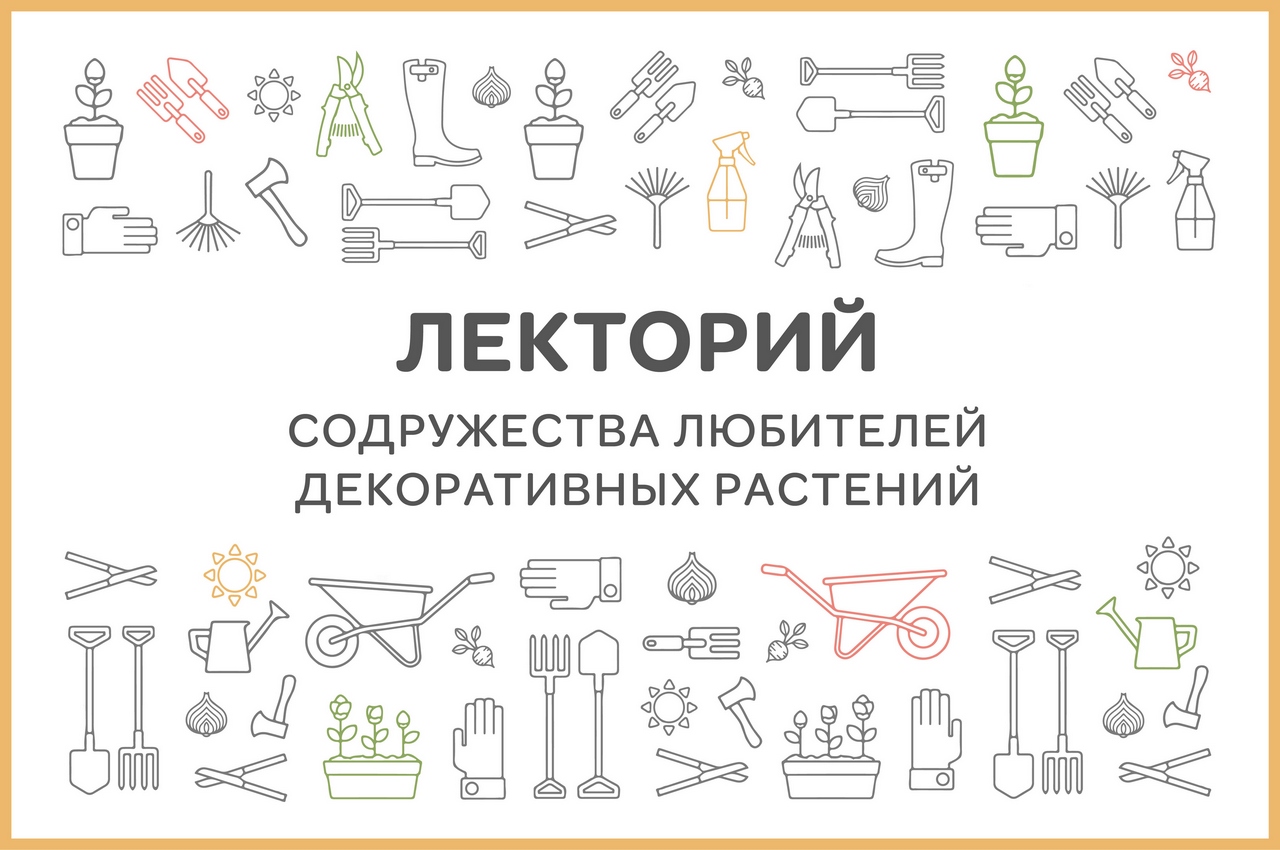 Лекции