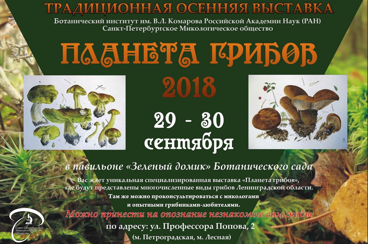 Планета грибов