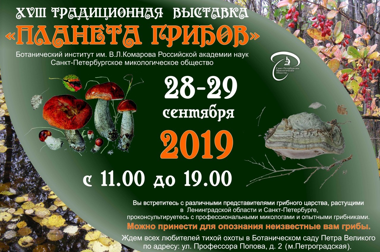 Планета грибов 2019